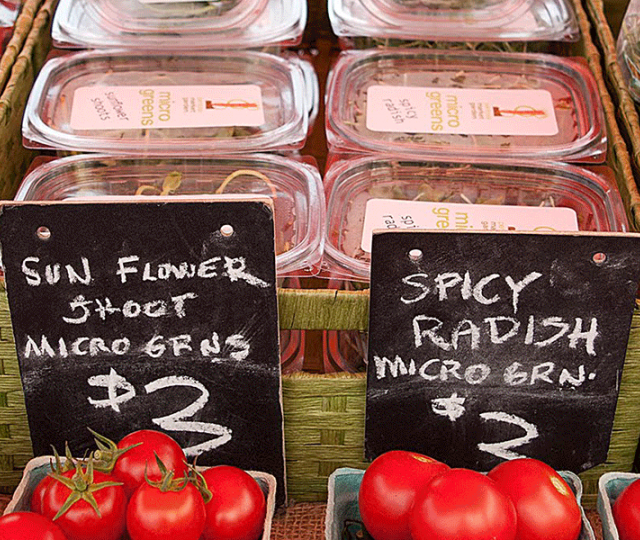 Farmers Market Header