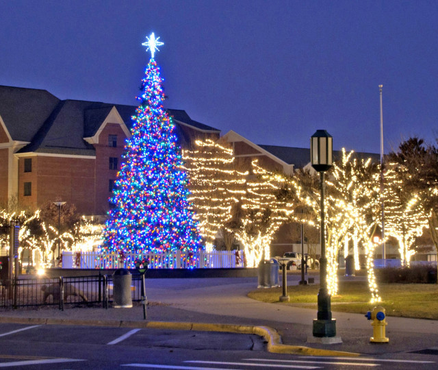 Things to Do Winter Header